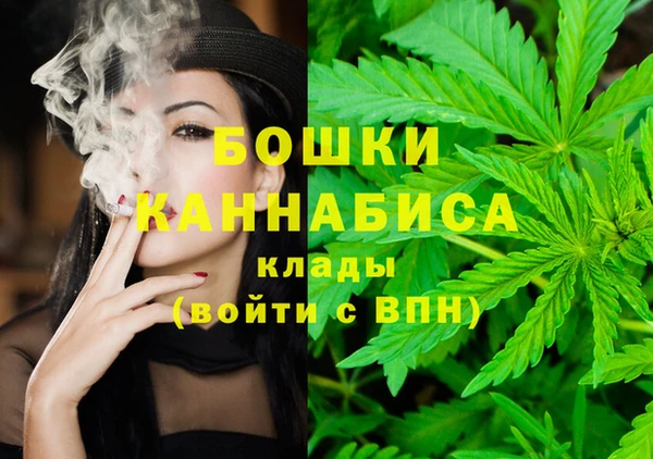 дурь Инта