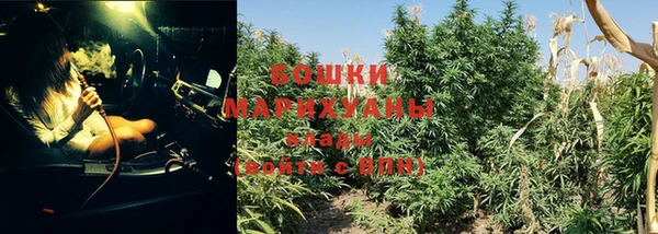 ECSTASY Зеленодольск