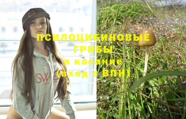 ECSTASY Зеленодольск