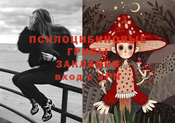 ECSTASY Зеленодольск