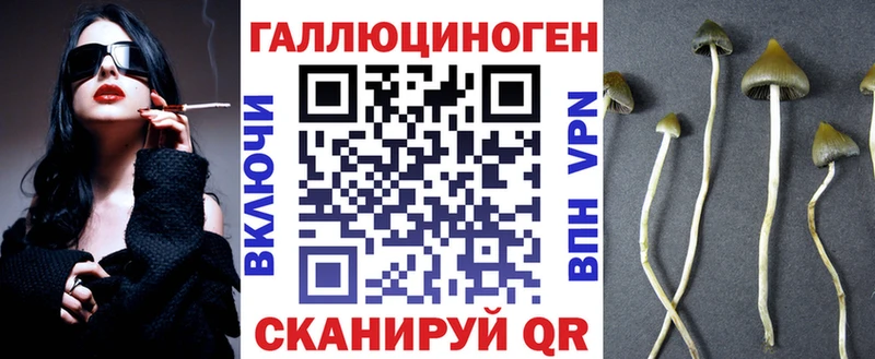 Купить  Мценск  Галлюциногенные грибы Cubensis 